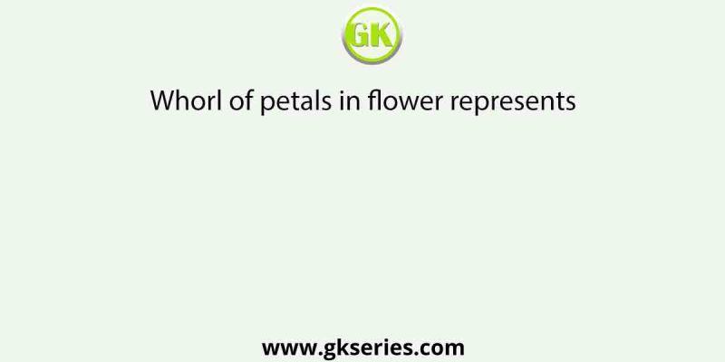 Whorl of petals in flower represents
