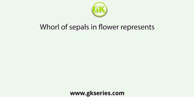 Whorl of sepals in flower represents