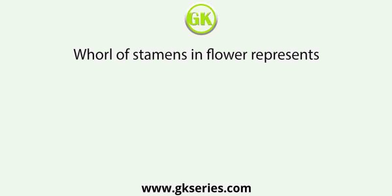 Whorl of stamens in flower represents