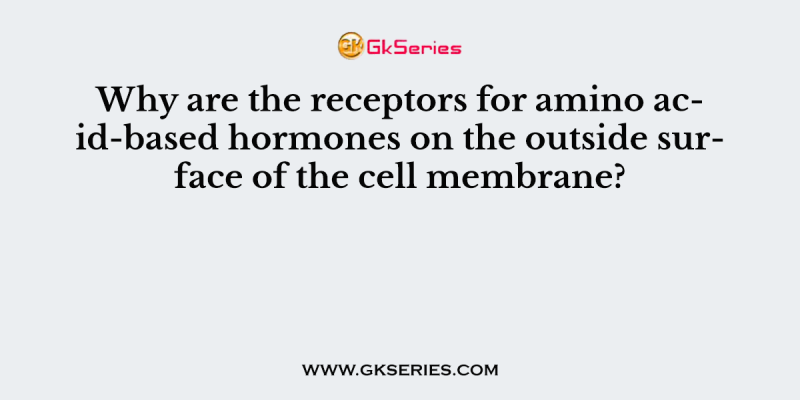 Why are the receptors for amino acid-based hormones on the outside surface of the cell membrane?
