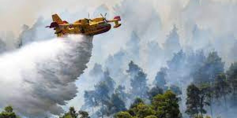 Wildfires continue to rip through Greek island of Evia