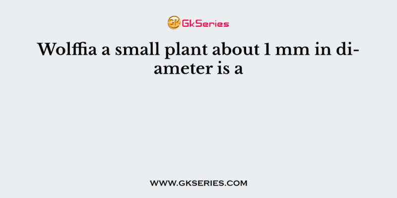 Wolffia a small plant about 1 mm in diameter is a