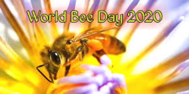 World Bee day 2020