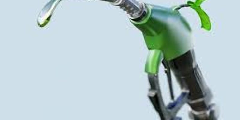 World Biofuel Day 2021