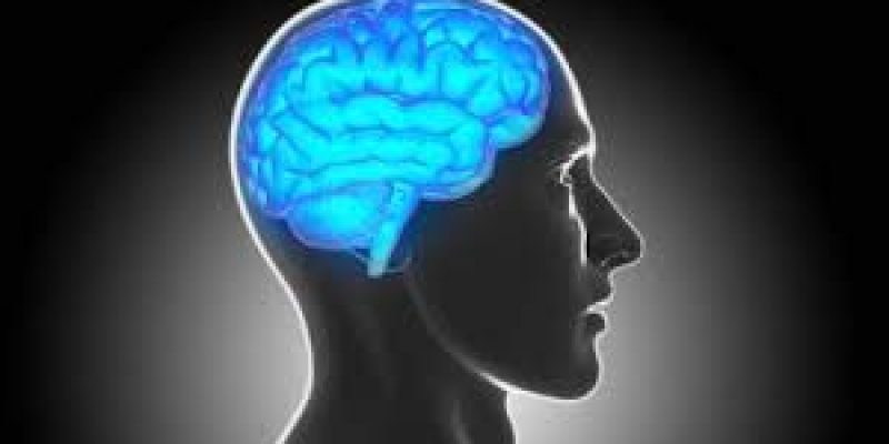 World Brain Day 2021