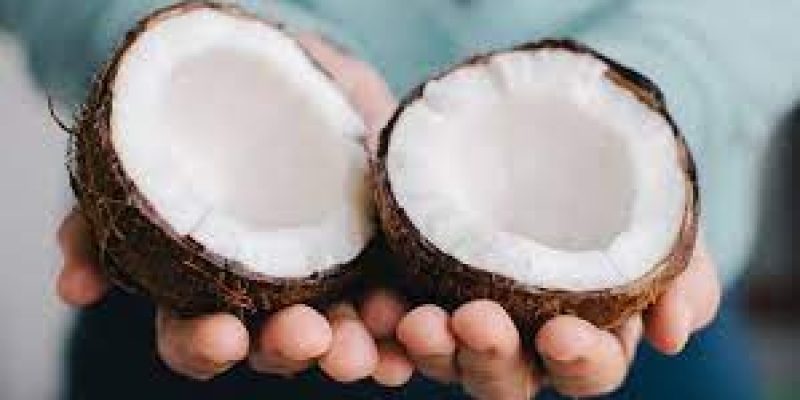 World Coconut Day 2023: Date, Benefits, Significance and History