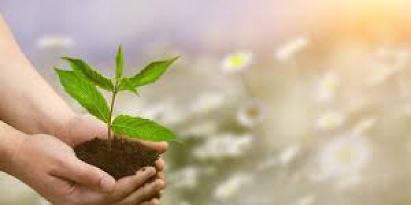 World Environment Day 2021