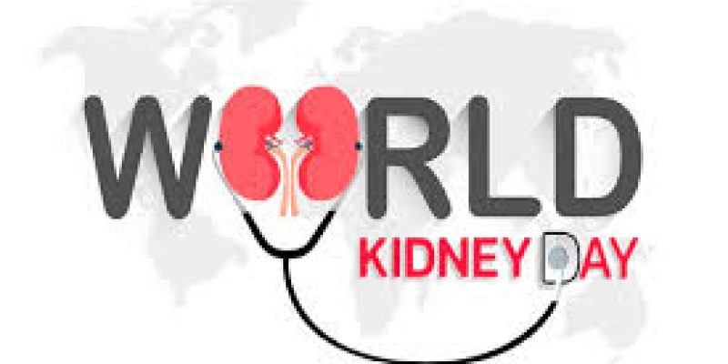 World Kidney Day 2024