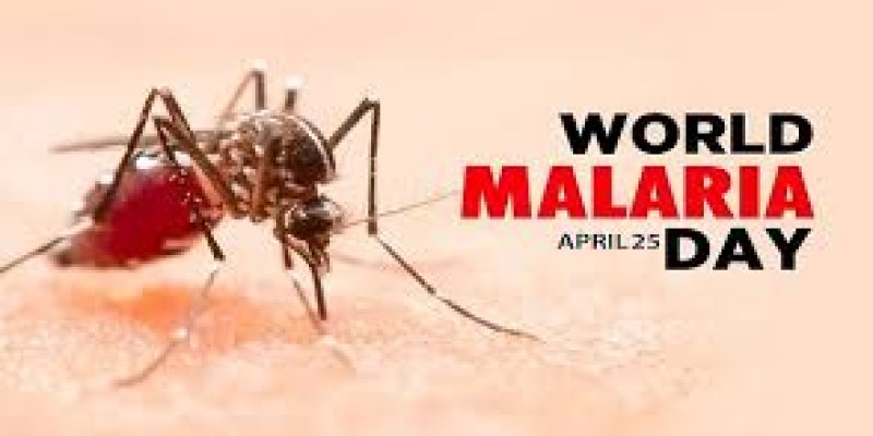 World Malaria Day 2024 Observed on 25th April Annually