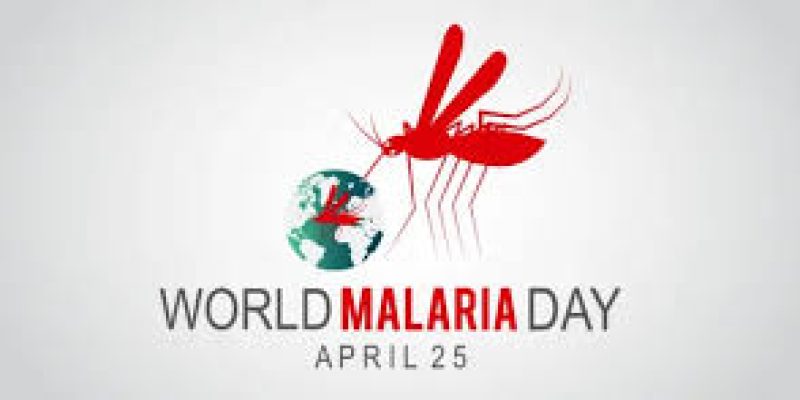 World Malaria Day 2025: Date, Theme
