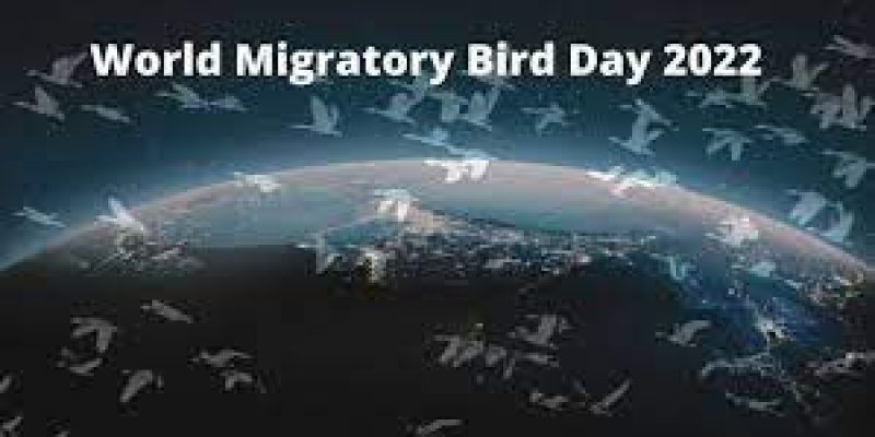 World Migratory Bird Day 2022 celebrates on 8th October
