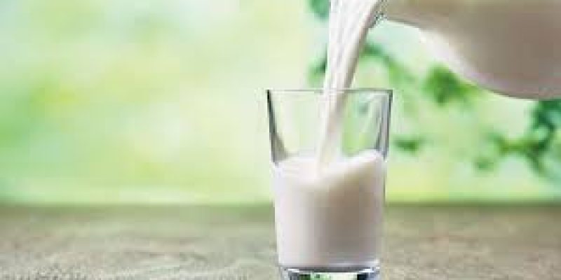 World Milk Day 2021