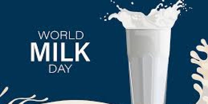 World Milk Day 2024, Celebrating the Vital Role of Dairy