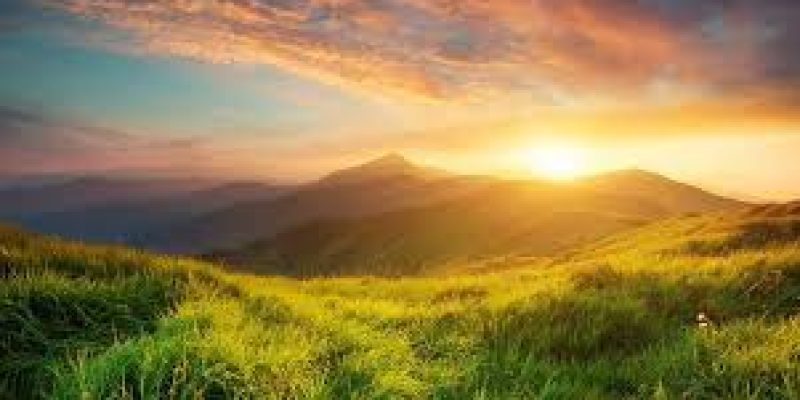 World Nature Conservation Day 2021