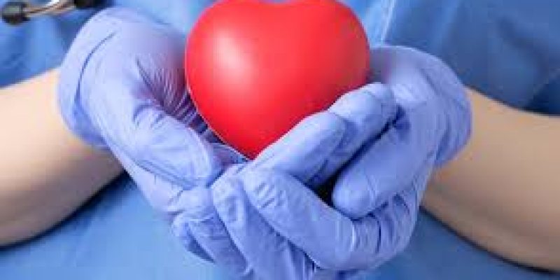 World Organ Donation Day 2021