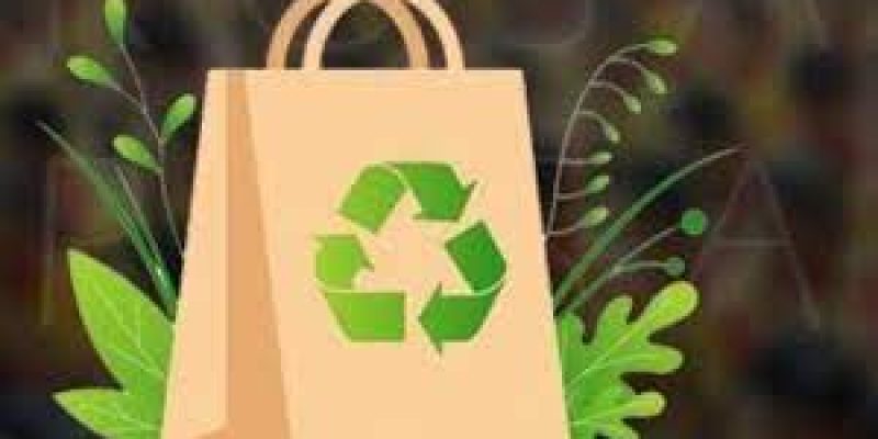 World Paper Bag Day 2023: Date, Theme, Significance and History