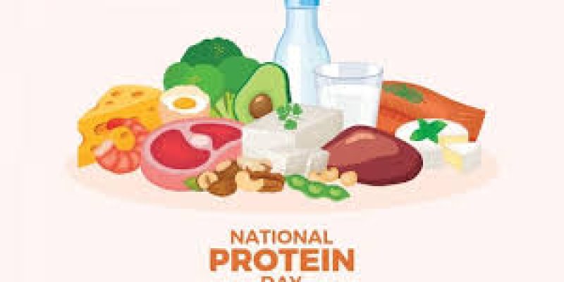 World Protein Day 2025