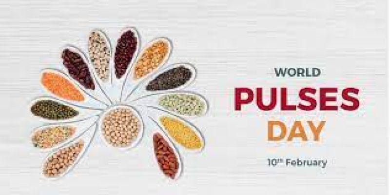 World Pulses Day 2024, Date, Theme, Significance and History