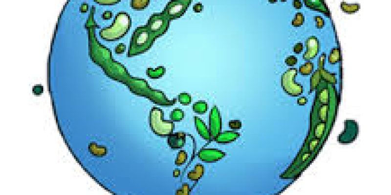 World Pulses Day 2025