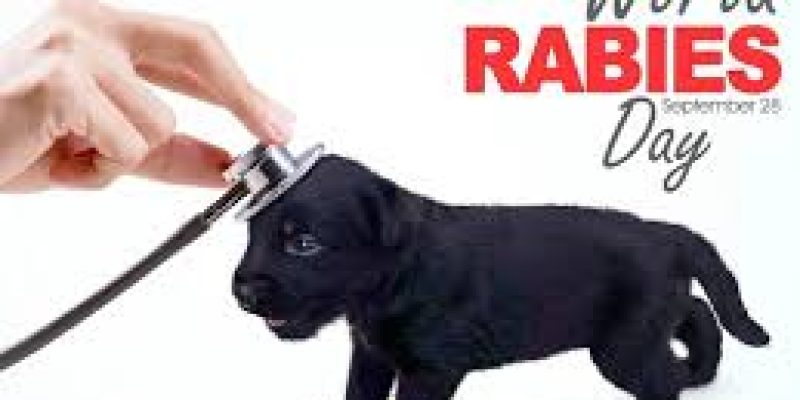 World Rabies Day 2024: Breaking Rabies Boundaries