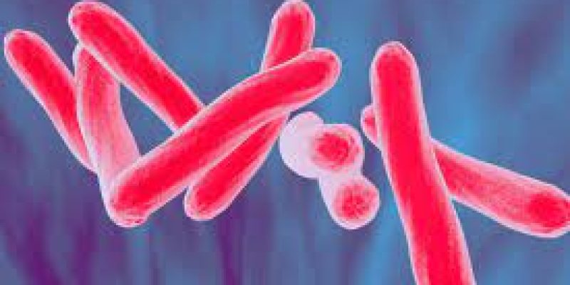 World Tuberculosis Day 2021