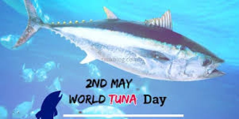 World Tuna Day 2020