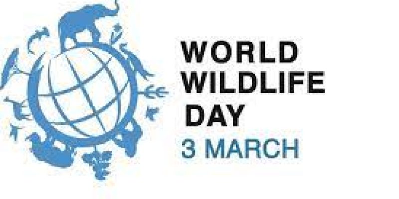 World Wildlife Day 2023 celebrates on 3rd March