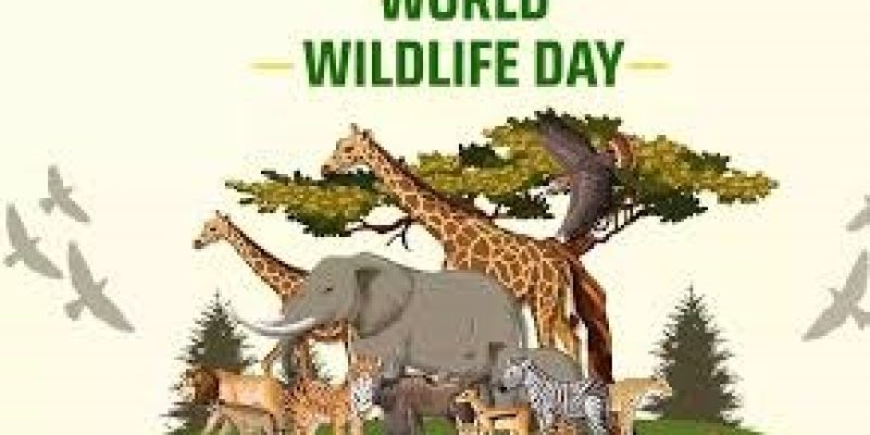 World Wildlife Day 2024, Date, Theme, History and Significance