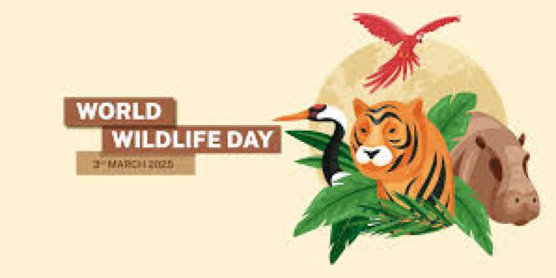 World Wildlife Day 2025: Date, Theme