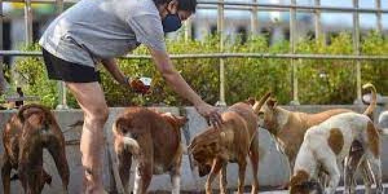 World Zoonoses Day 2021