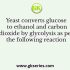 At the end of a batch culture, glucose solution is added at a flow rate of 200 ml/h