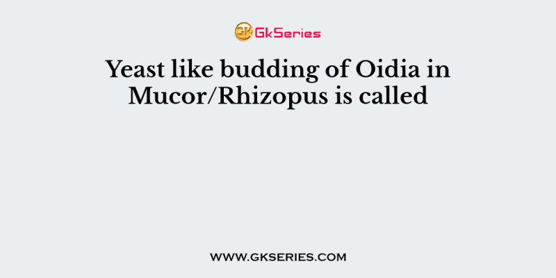Yeast like budding of Oidia in Mucor/Rhizopus is called