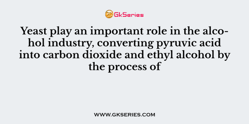 Yeast play an important role in the alcohol industry, converting pyruvic acid into carbon dioxide and ethyl alcohol by the process of