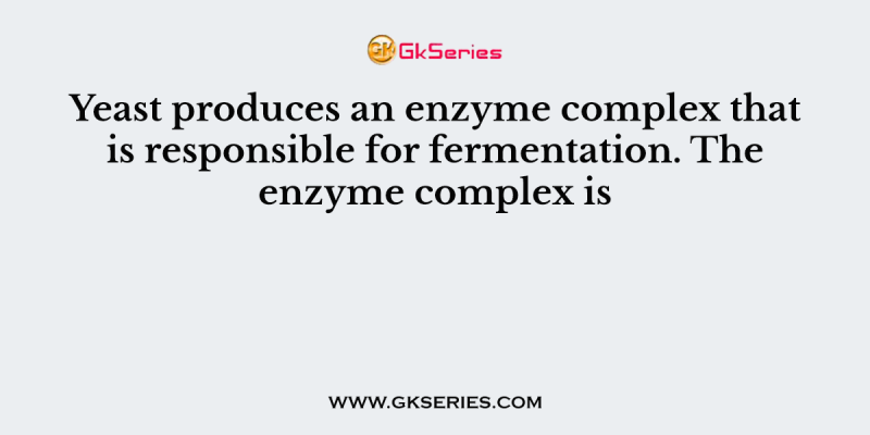 Yeast produces an enzyme complex that is responsible for fermentation. The enzyme complex is