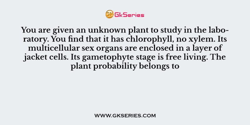 You are given an unknown plant to study in the laboratory. You find that it has chlorophyll, no xylem