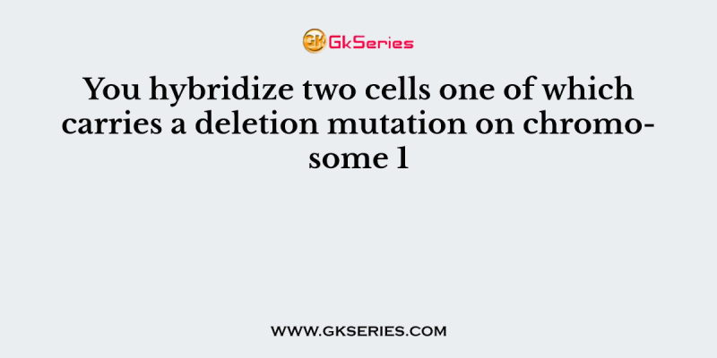You hybridize two cells one of which carries a deletion mutation on chromosome 1