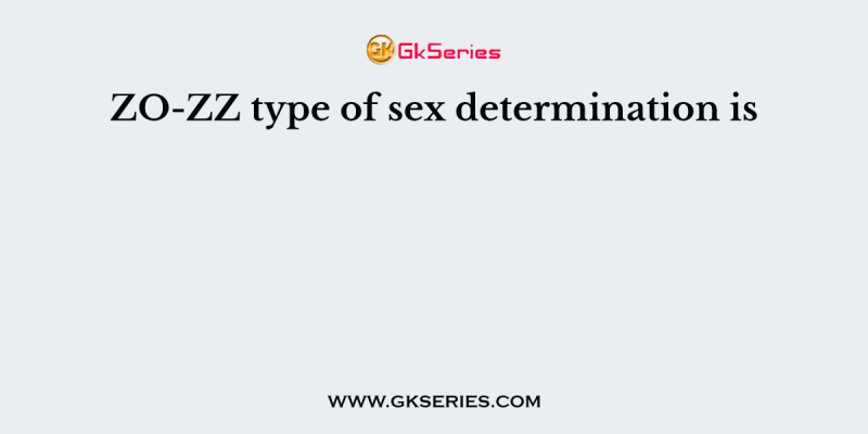 ZO-ZZ type of sex determination is