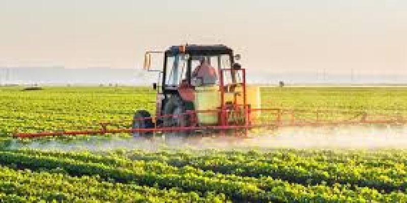 Zero Budget Natural Farming in Andhra Pradesh