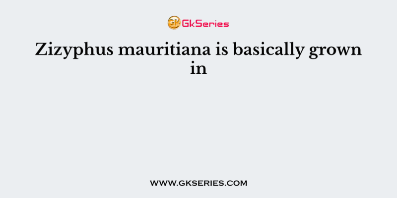 Zizyphus mauritiana is basically grown in