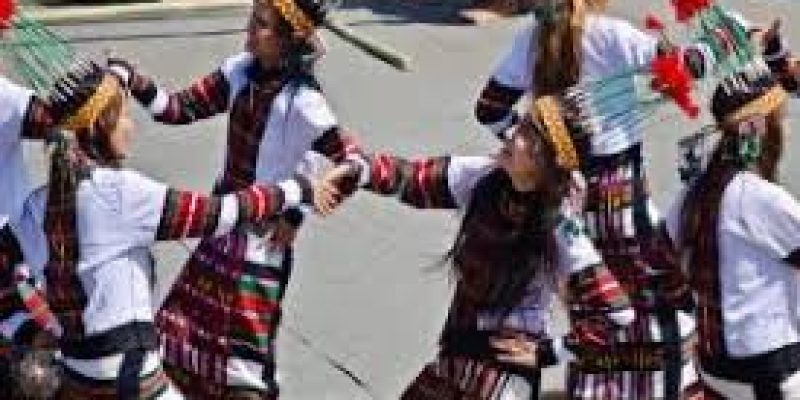 Mizoram govt to organise Zo Kutpui