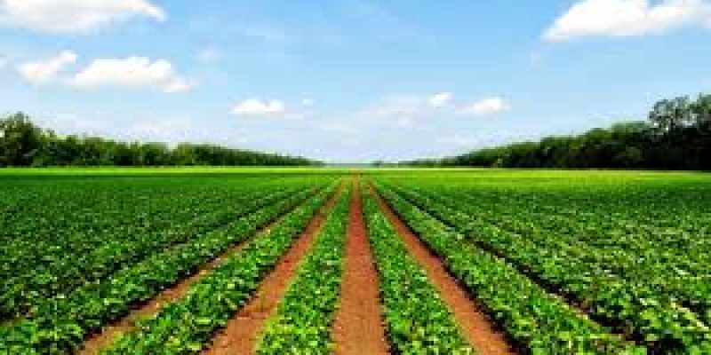 Karnataka government to sale the agricultural land to help farmers