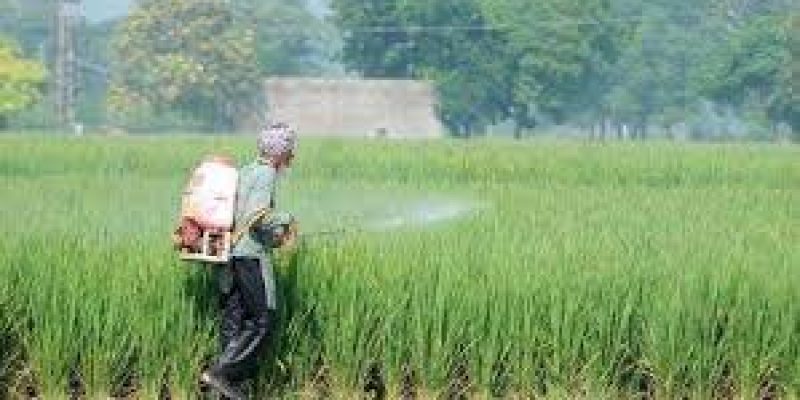 Rajya Sabha passed two contentious agriculture bills