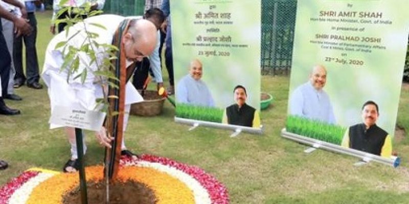 Govt launches Tree Plantation Campaign 2020 of the Coal Ministry