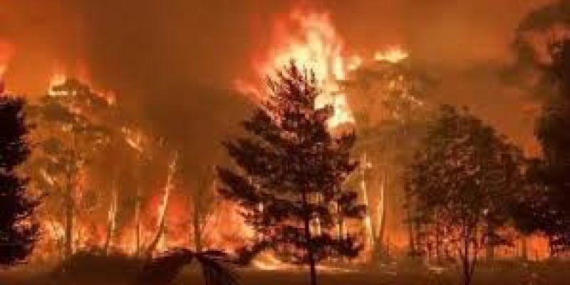 Australia is Committing Climate Suicide