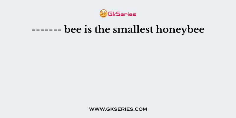 ——- bee is the smallest honeybee
