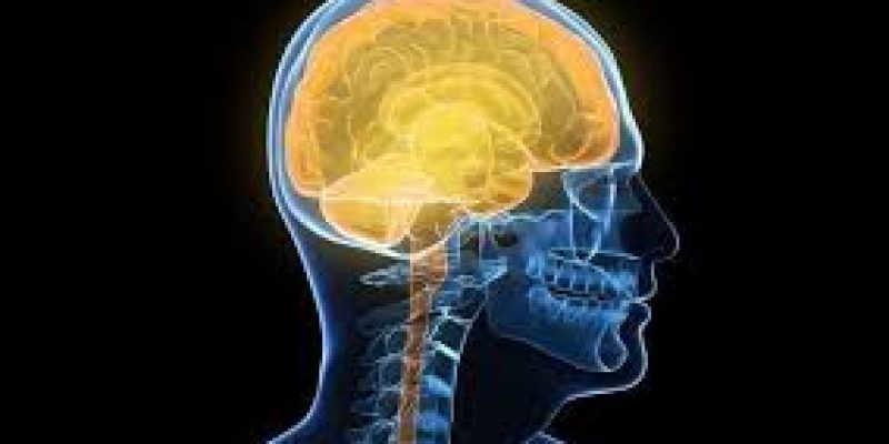 A new Cambridge study found that our brains remain active all the time