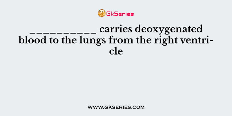 __________ carries deoxygenated blood to the lungs from the right ventricle
