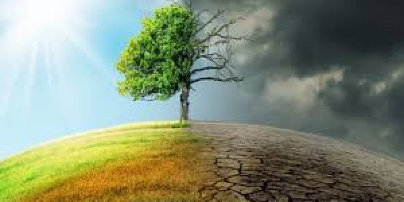 Faster & more accurate forecast of climatic changes