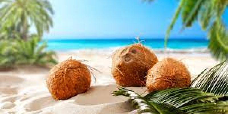 World Coconut Day: 02 September