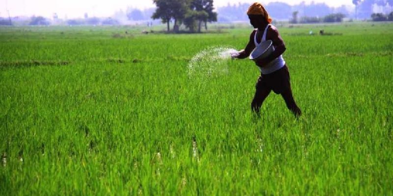 Odisha government released draft state Agriculture Policy 2019
